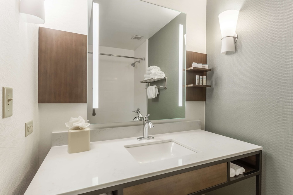 Hilton Garden Inn Chicago Tinley Park - photo 31