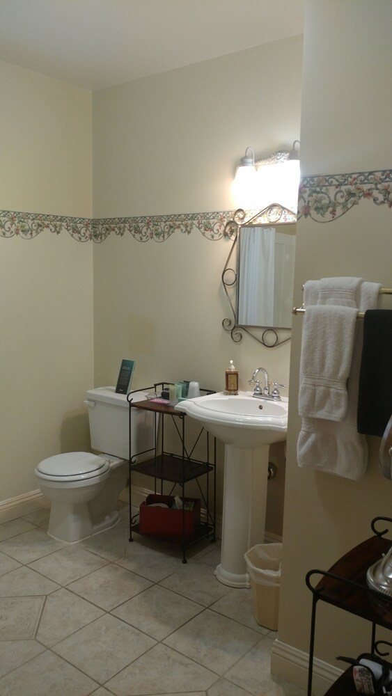 The Iron Gate Inn - photo 32