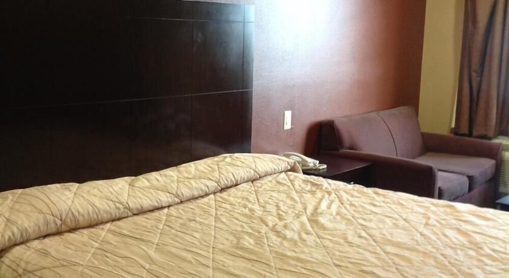 Palace Inn Fairbanks - photo 7