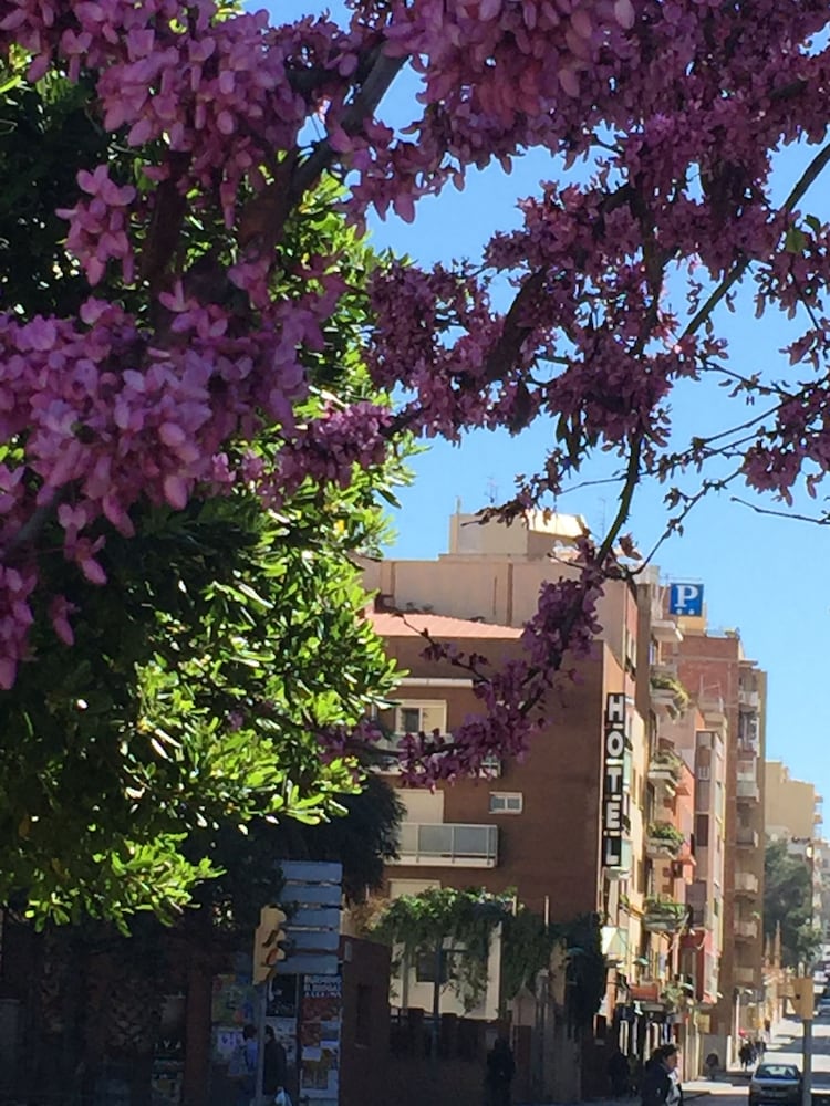 Hotel Cosmos Tarragona — hotel in Tarragona