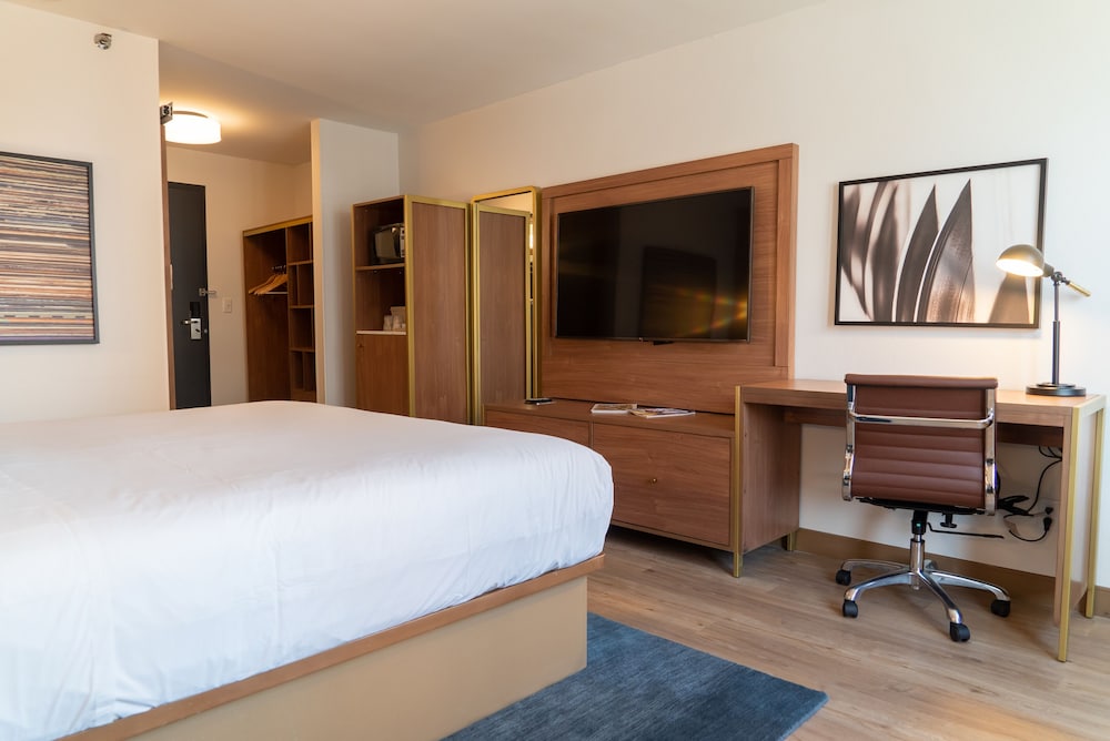 Hotel Indigo Detroit Downtown by IHG - photo 18