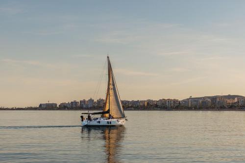 A&N Plazamar 171 — Torre Del Mar — photo 4
