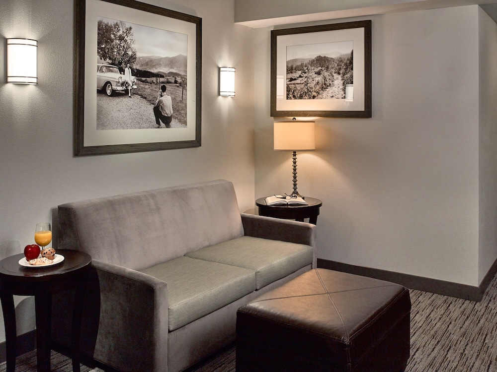 Hilton Garden Inn Gatlinburg - photo 11