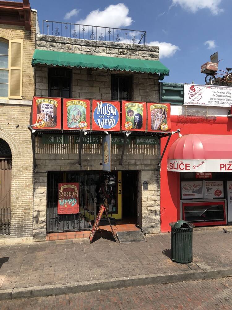Aloha in Texas - photo 34