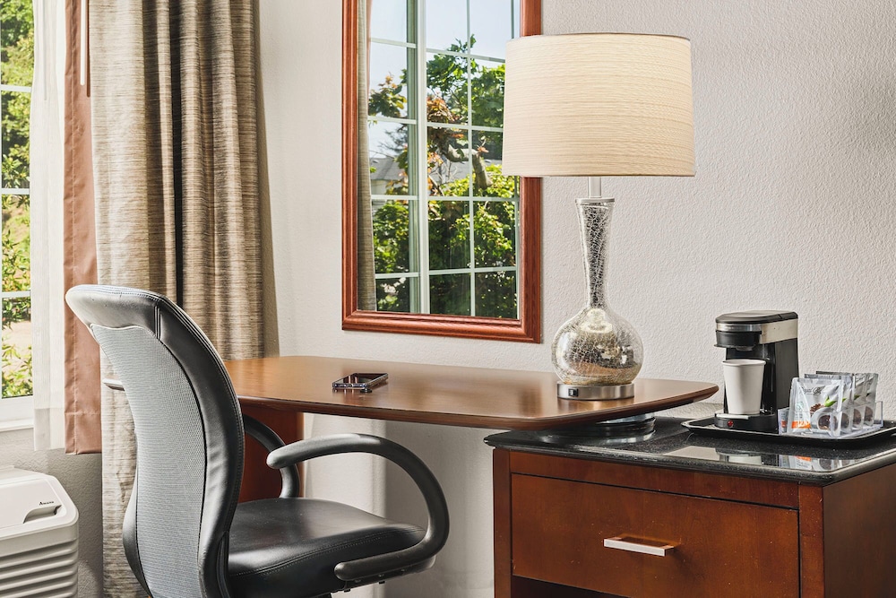 The Ashley Inn & Suites - photo 23
