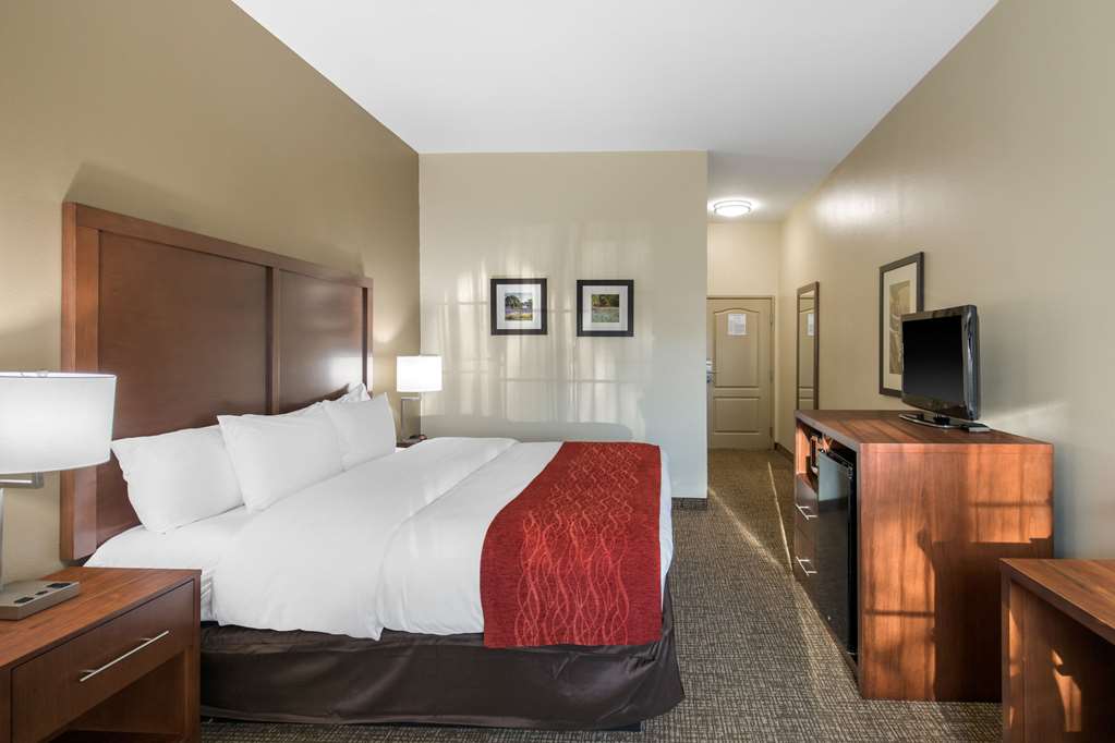 Comfort Inn & Suites Cedar Hill Duncanville - photo 8