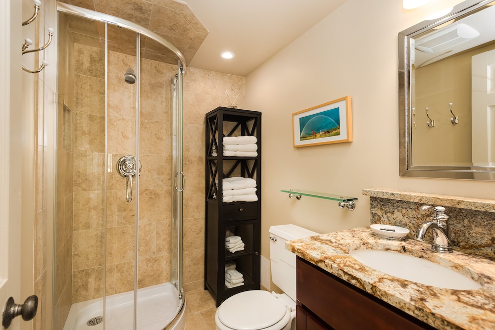 The St. Regis Aspen Resort - photo 54
