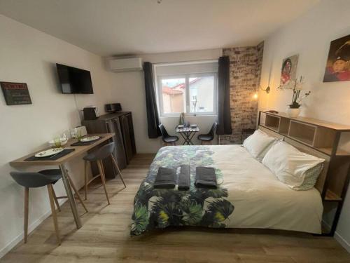 Bach Studio Balneo Au Calme Parking Gratuit — hotel in Chasse-Sur-Rhone