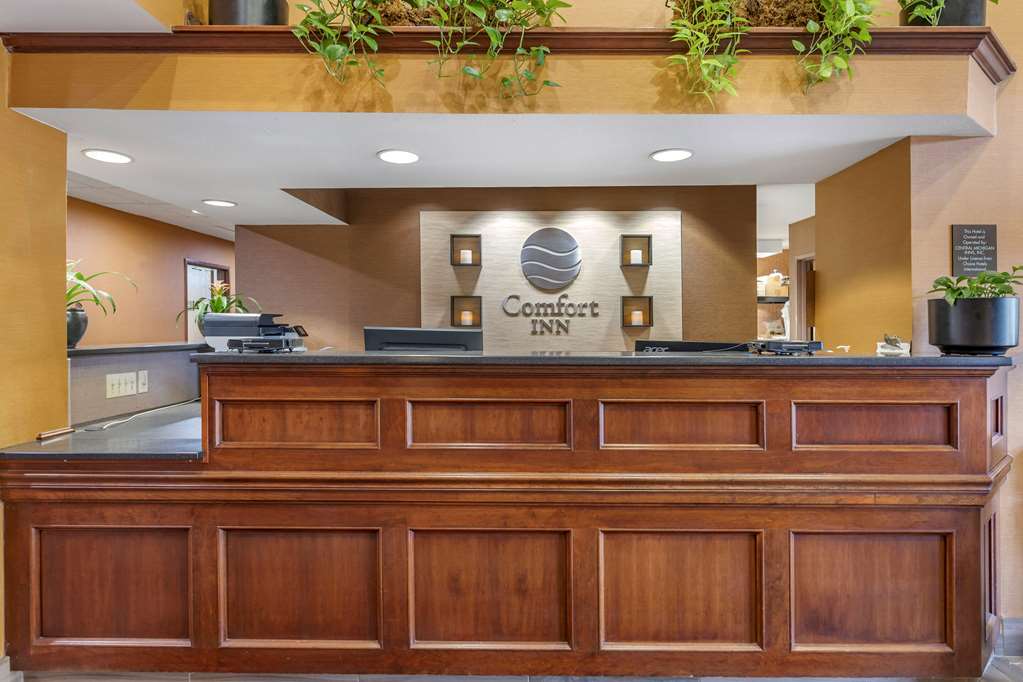 Comfort Inn Okemos East Lansing - photo 7