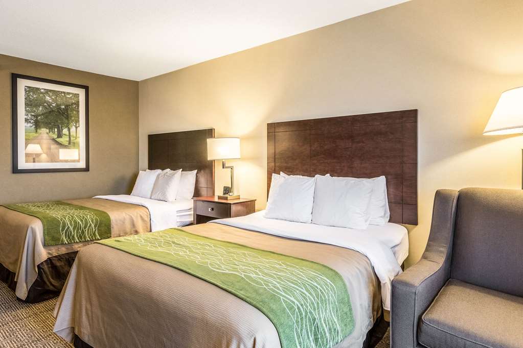 Comfort Inn Lansing West - photo 13