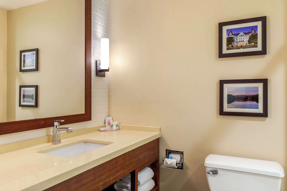 Comfort Inn & Suites Schenectady Scotia - photo 30