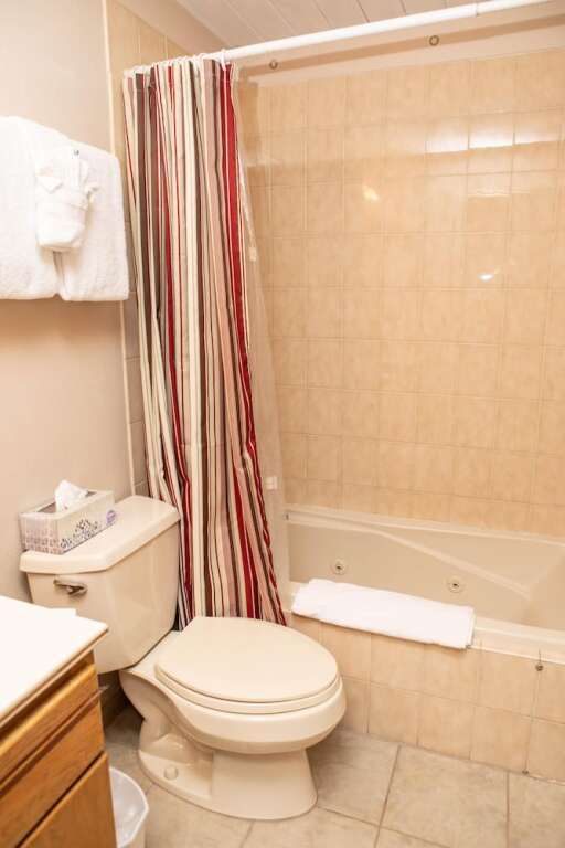Homestake Condominiums Hotel - photo 10