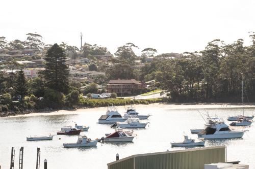 Harbour Sunrise — Ulladulla — photo 2