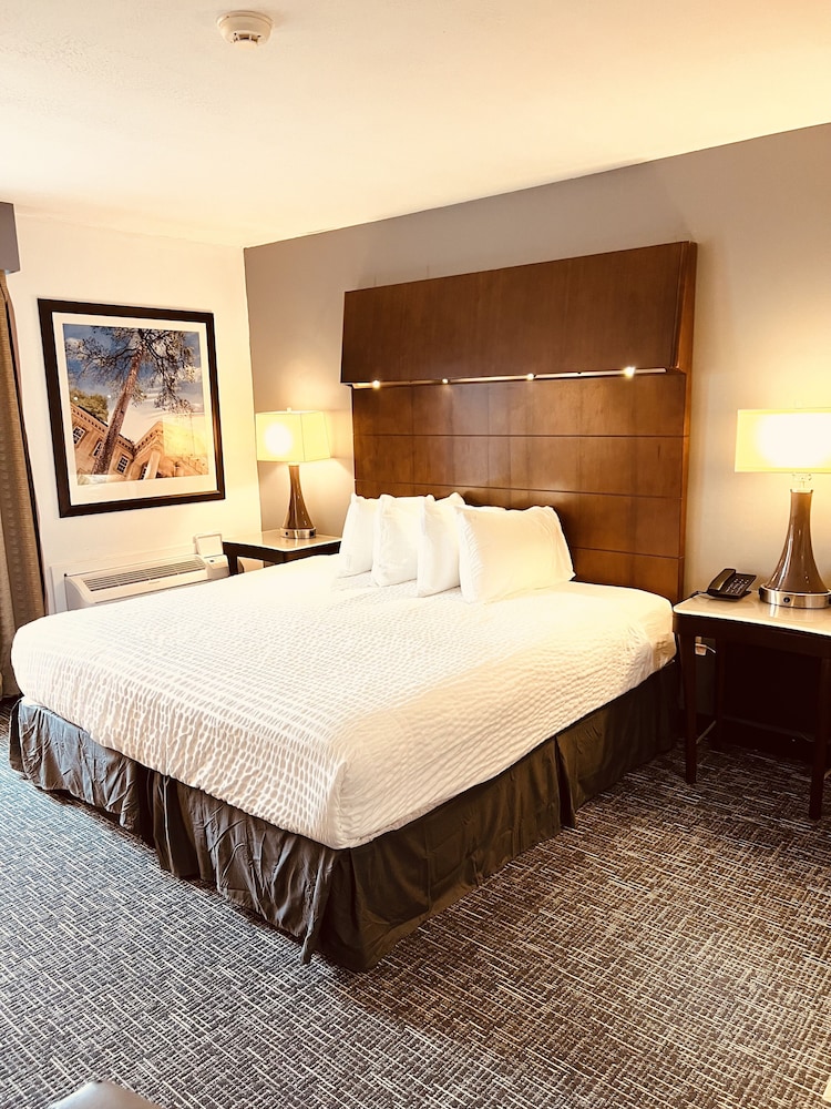 Quality Inn & Suites Caribou - photo 21