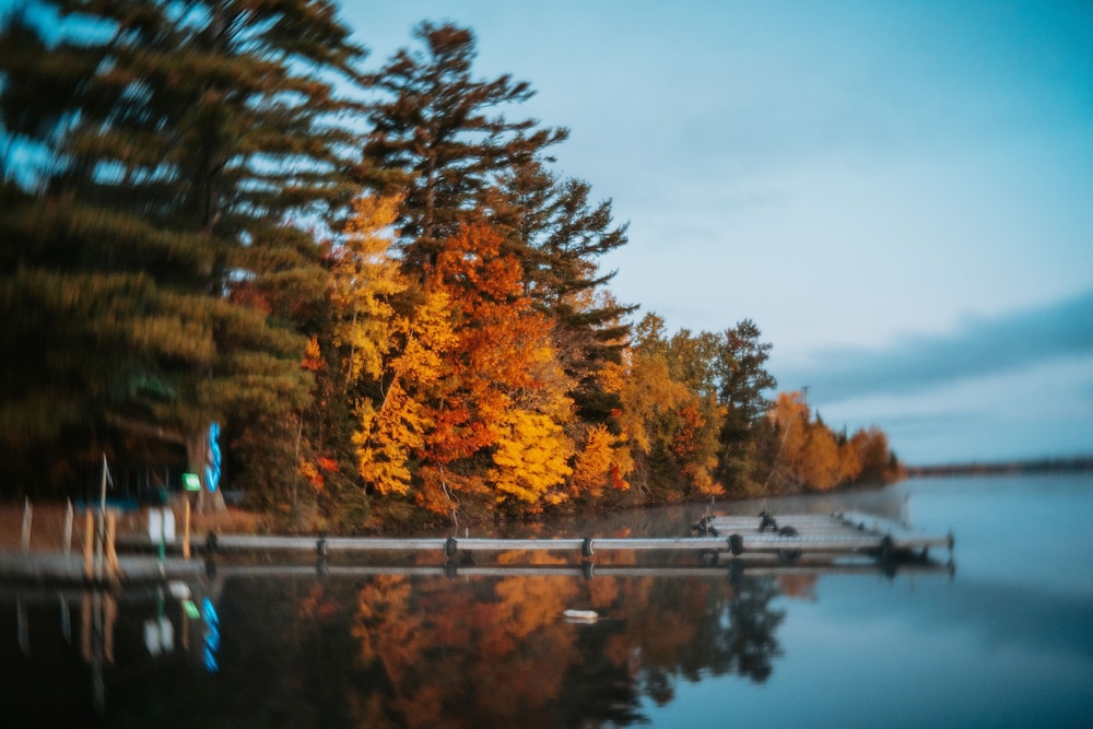 Coadys' Point of View Lake Resort - photo 418