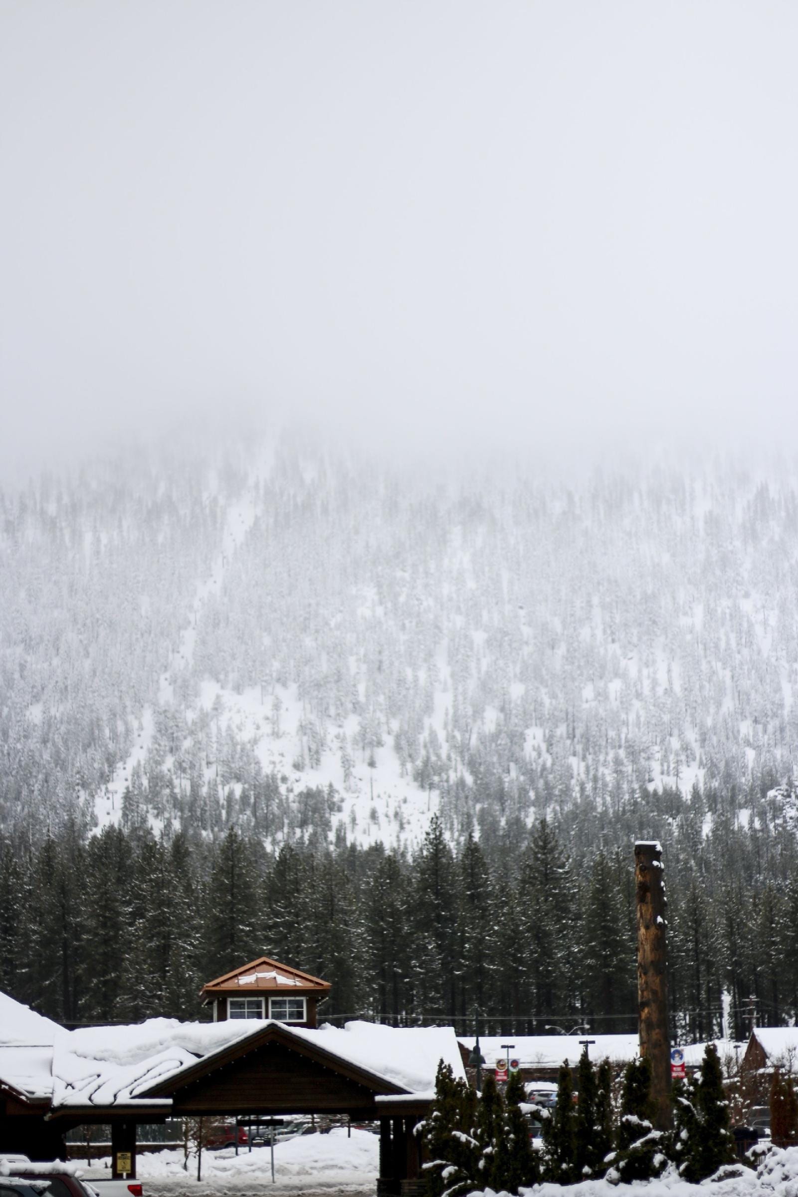 Park Tahoe Inn - photo 2