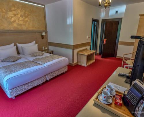 Hotel Lacu Rosu — Gheorgheni — photo 4