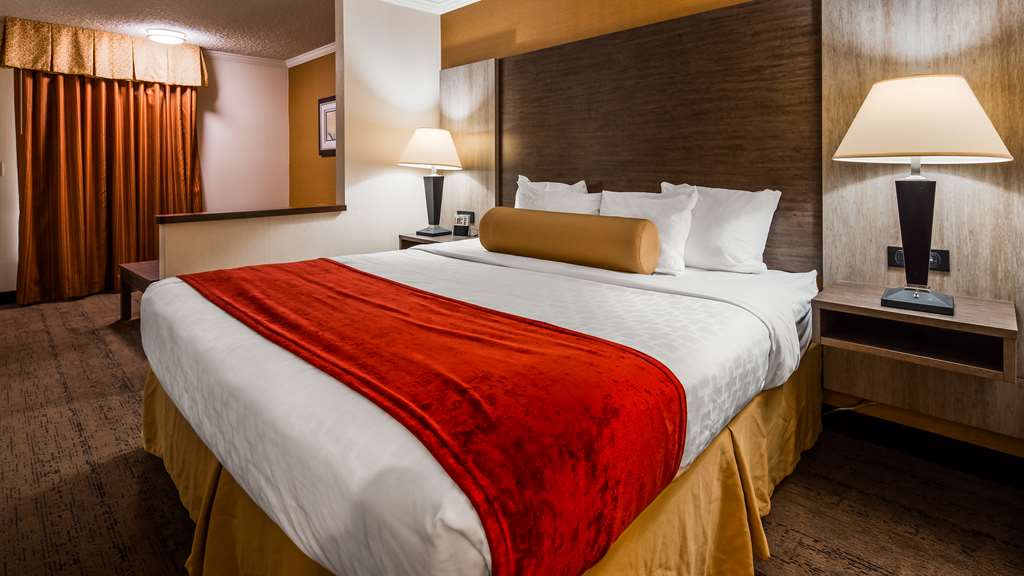 Best Western Galleria Inn & Suites - photo 6