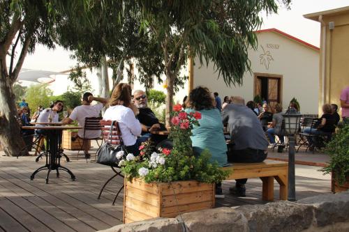 Assaf Boutique Winery & Cabins — 4-Star Luxury Hotel in Tiberias, Israel