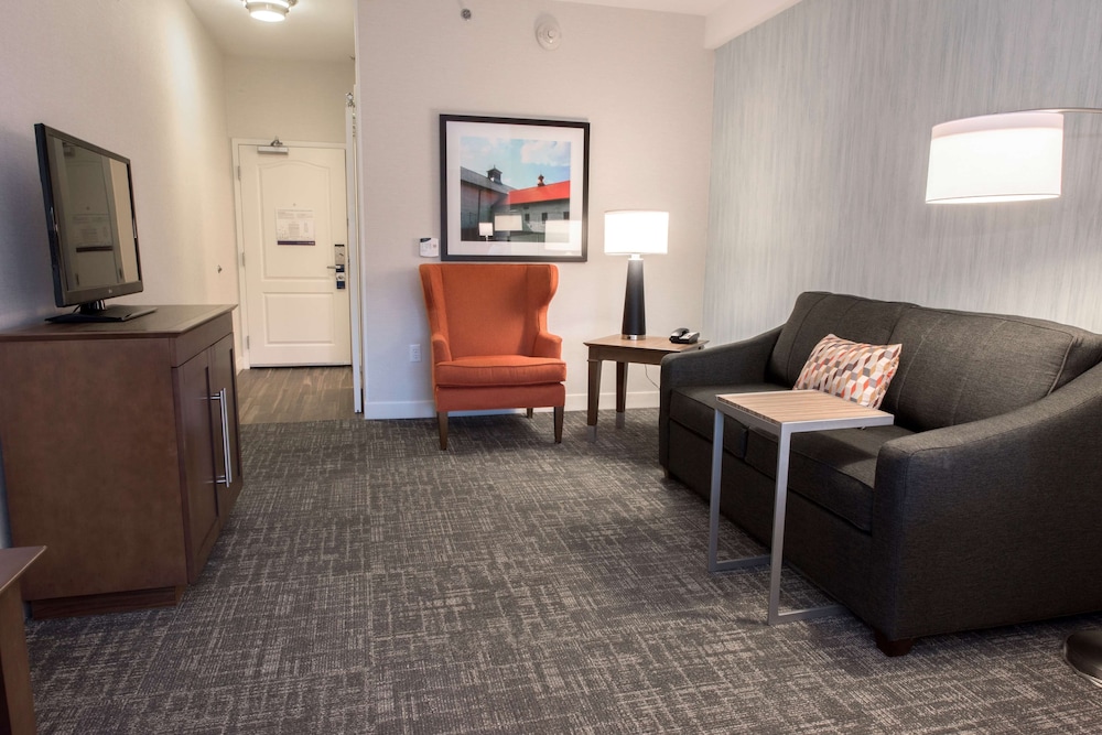 Hampton Inn Albany Western Ave University Area - photo 5