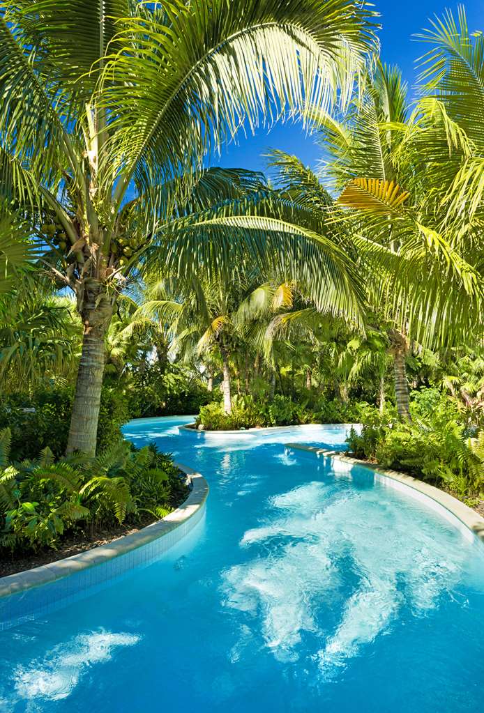 Hyatt Regency Coconut Point Resort & Spa - photo 38