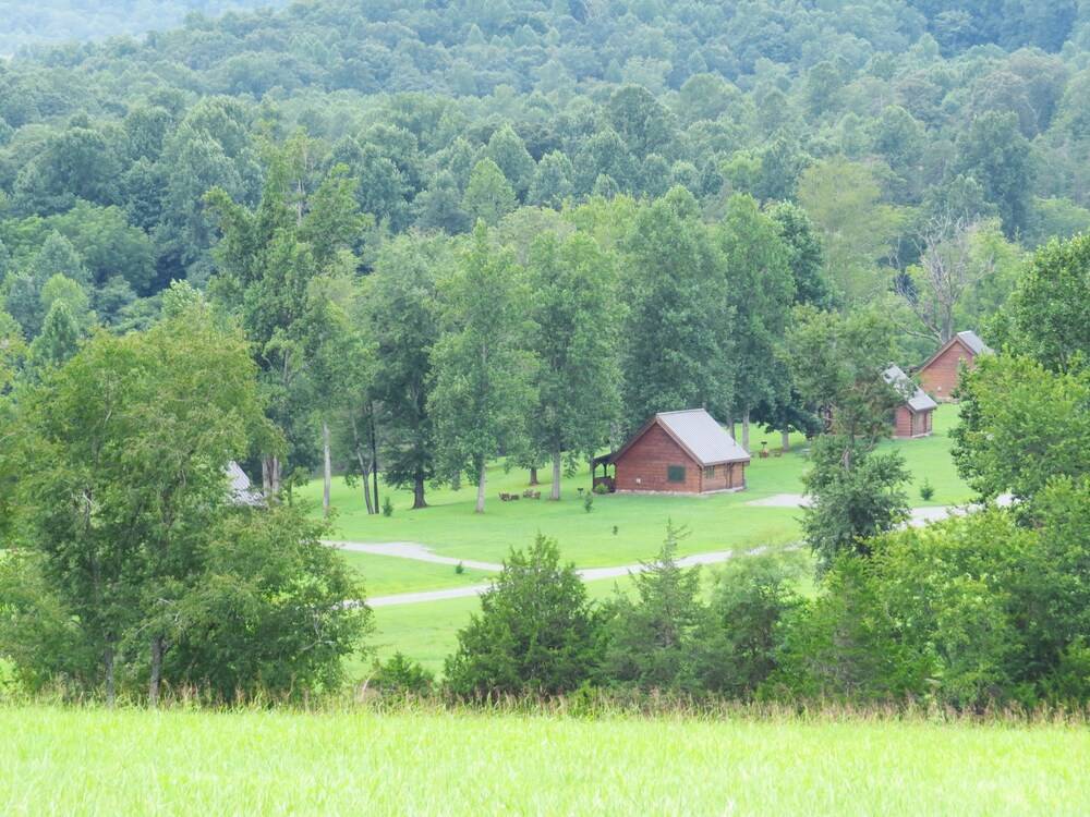 Southern Comfort Lakeside Cabin Resort - photo 63