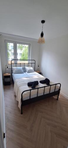 Apartament Saturna — Czeladz — photo 3