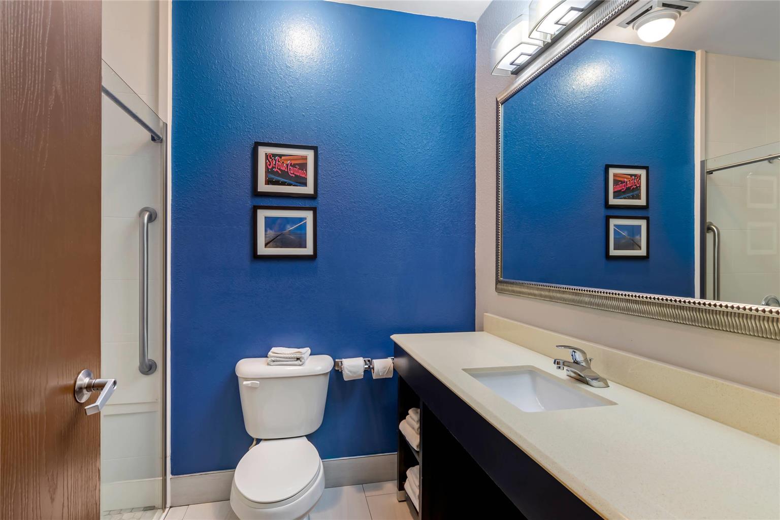Comfort Suites St Charles St Louis - photo 13