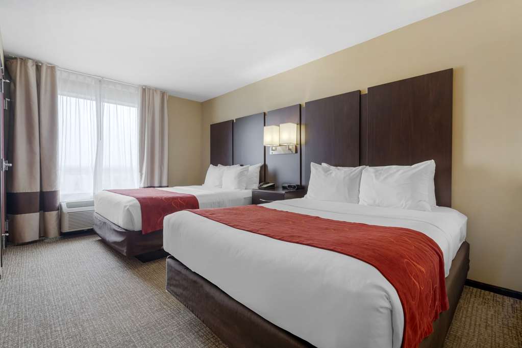Comfort Suites and Conference Center - photo 18