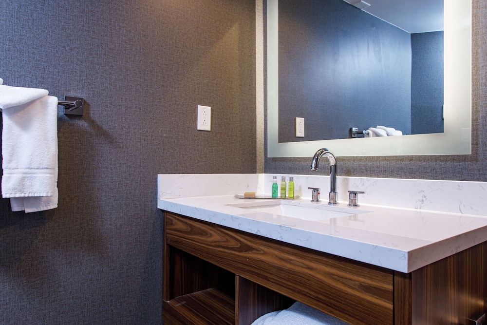 DoubleTree by Hilton Appleton - photo 18