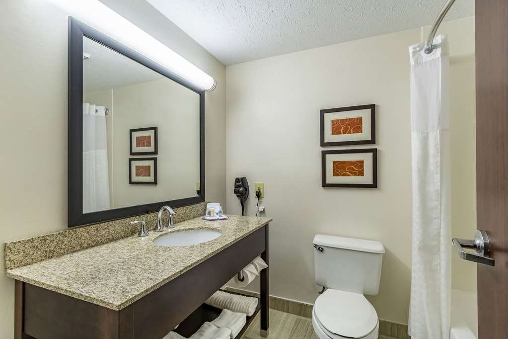 Comfort Inn Independence Cleveland - photo 18