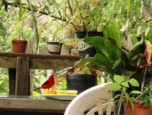Pousada Beehouse in Paranagua, Brasil