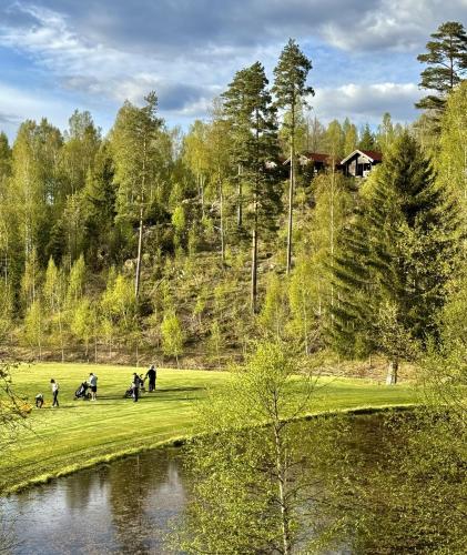 Noretjärns Stugby — Unknown City — photo 4
