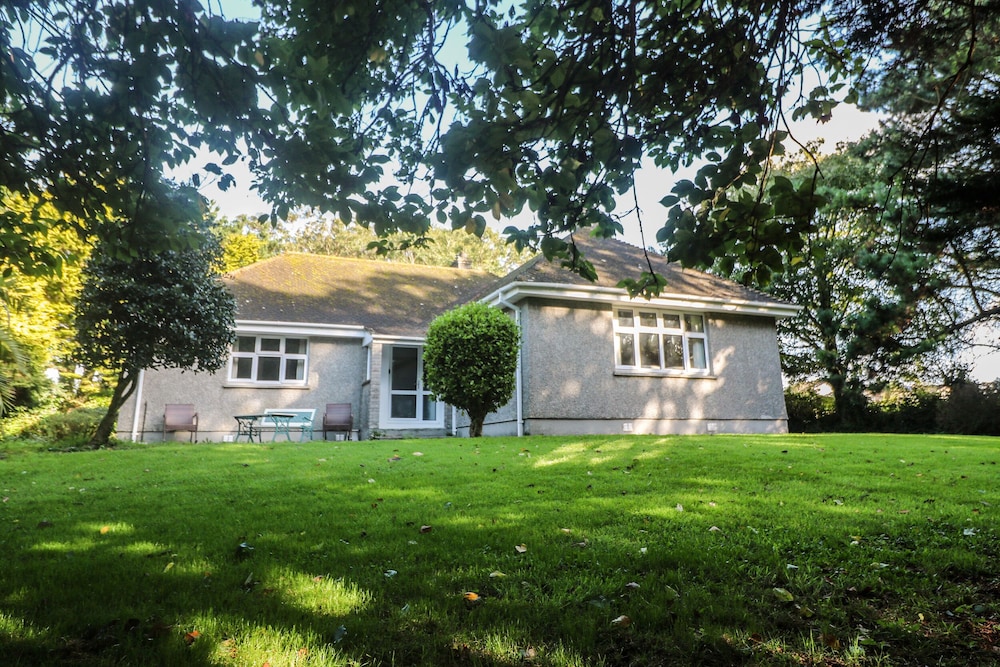 Yngywidden in Penzance, United Kingdom