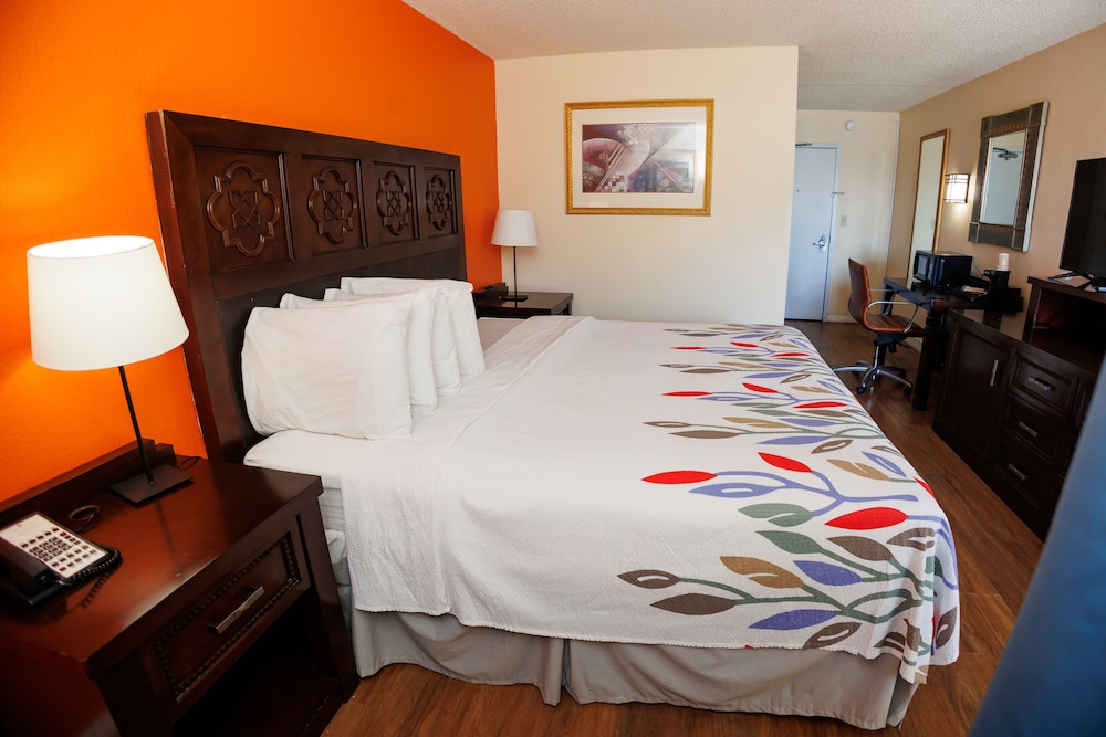 Garnet Inn & Suites Orlando - photo 14