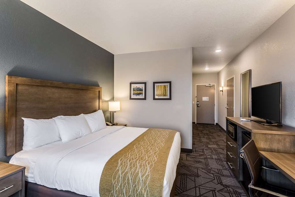 Comfort Inn & Suites Salt Lake City Airport - photo 16
