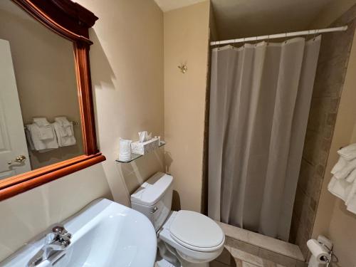 Hotel Belvidere - photo 10