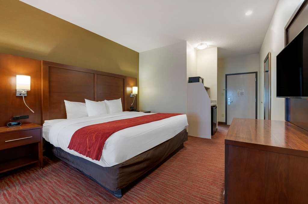 Comfort Suites Columbus Expo Center - photo 10