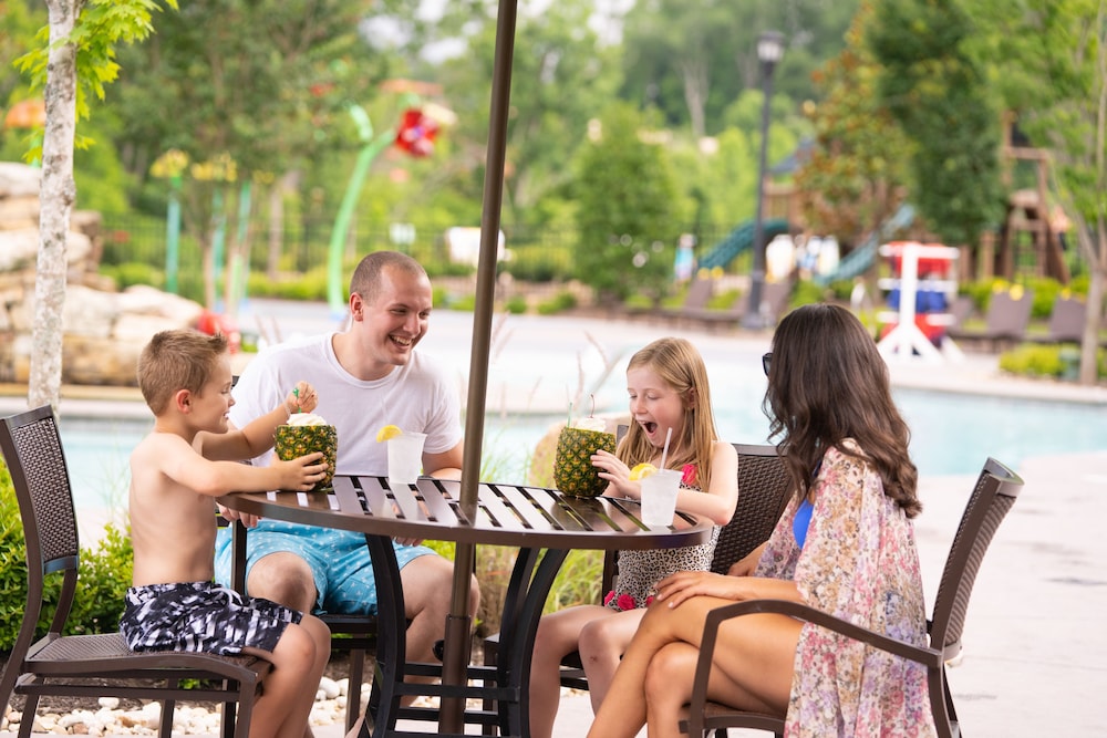 Dollywood's DreamMore Resort - photo 34