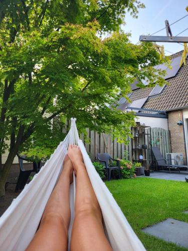 Witte Druif in Veghel, Netherlands