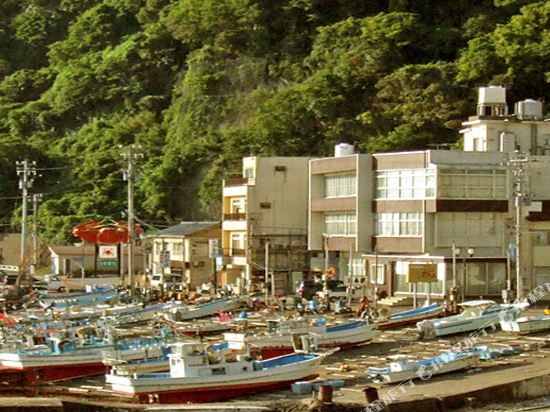 Tamagawa Onsen Tamashimaso — Echizen