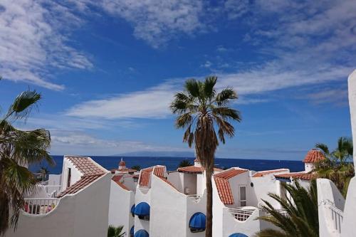 Veronicas in Playa De Las Americas, Spain