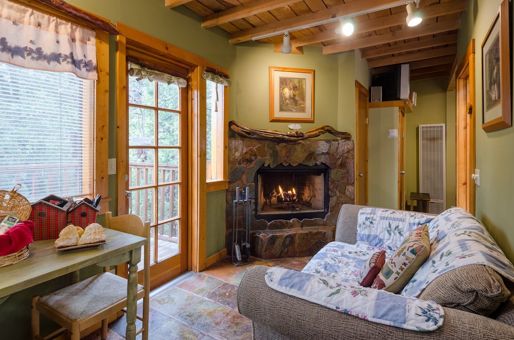 Idyllwild Bunkhouse - photo 24