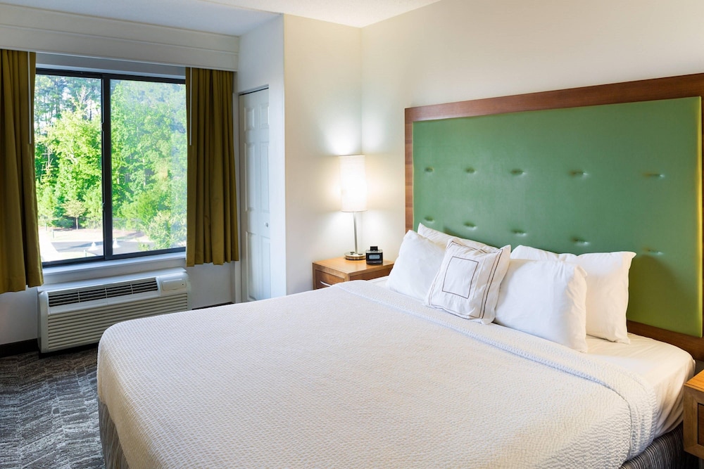 Springhill Suites by Marriott Hampton Coliseum - photo 8