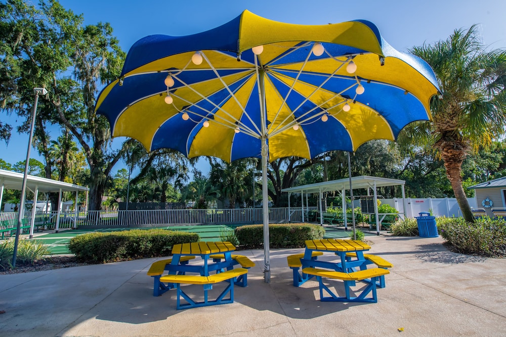 Tampa East RV Resort Campground - photo 15