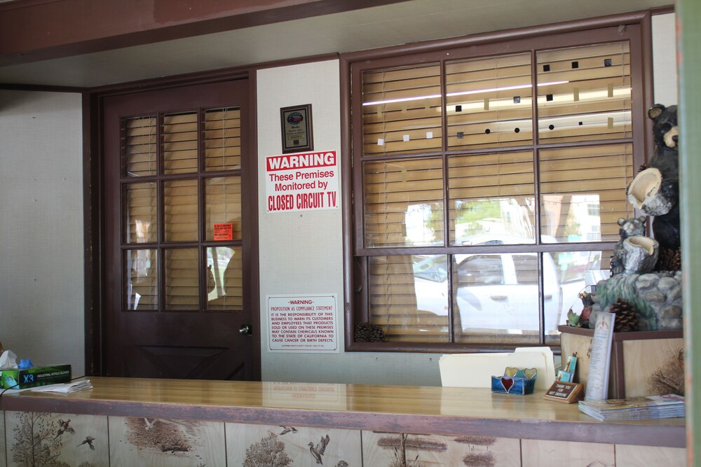 Trees Motel - photo 2