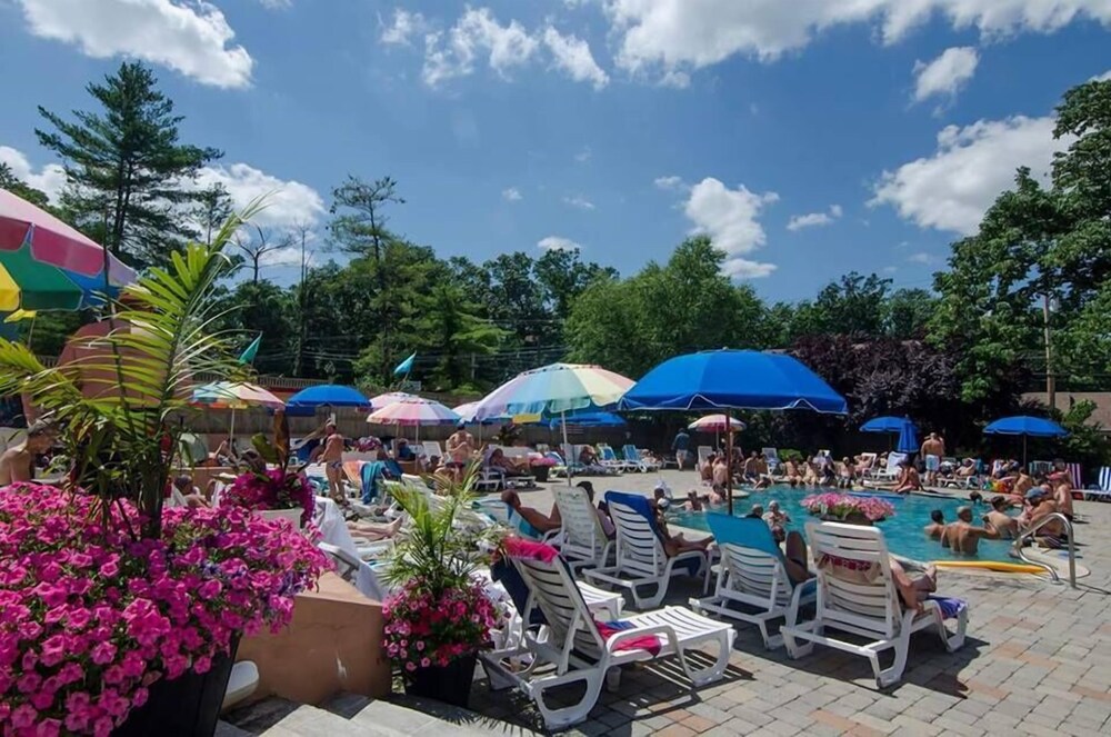 The Raven Resort - photo 17