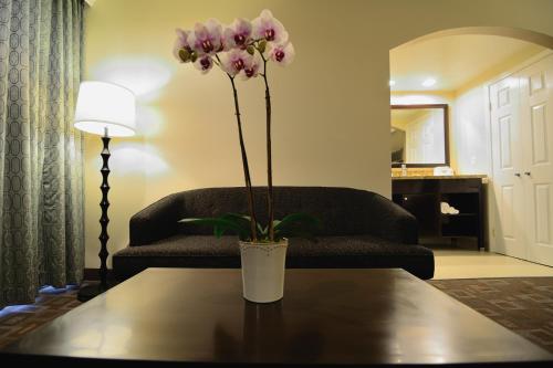 Days Inn by Wyndham Downey - photo 7