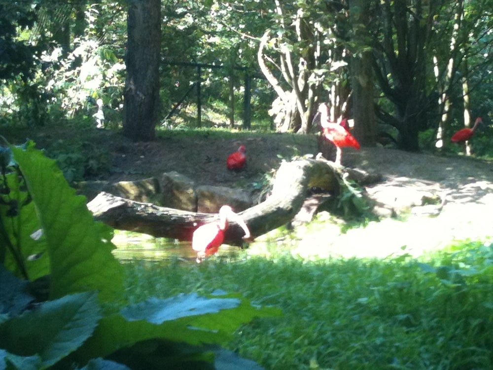 Children's activities