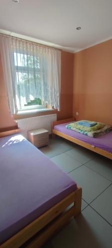 Noclegi Ela — Sieradz — photo 5